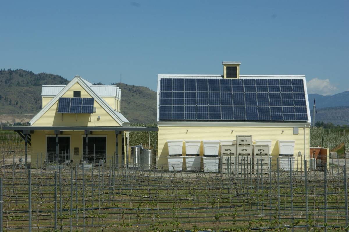Home here s the thing vineyards